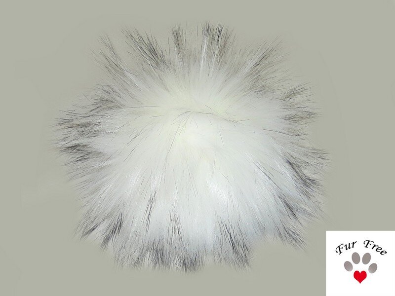 Kanadischer Raccoon Weiß-Schwarz1