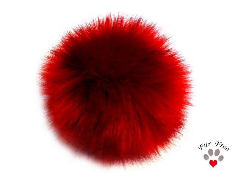 Sibirischer Fox Scarlet1