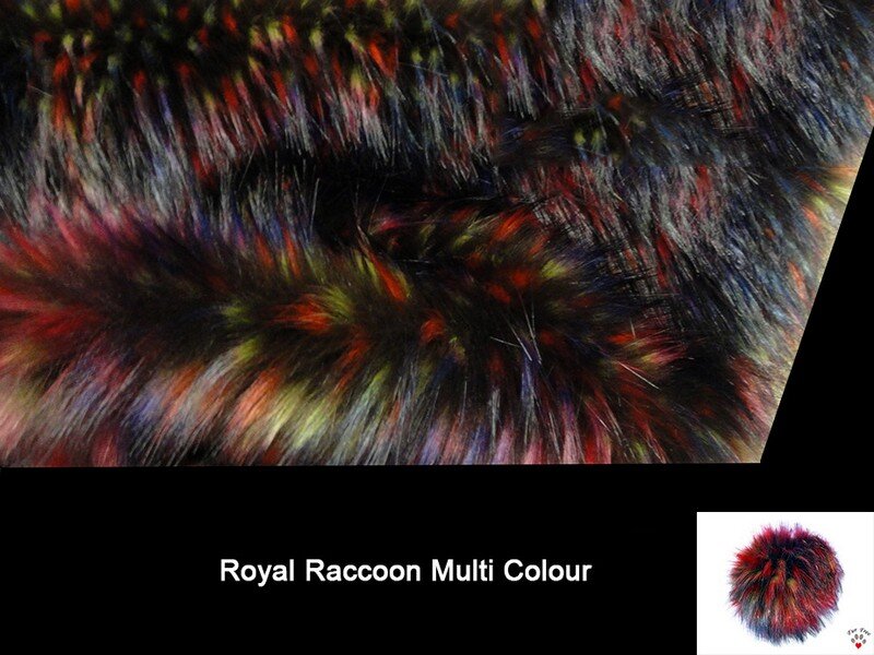 Royal Raccoon Multi Colour